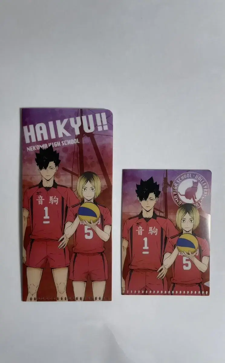 Haikyuu Nekoma Mini File