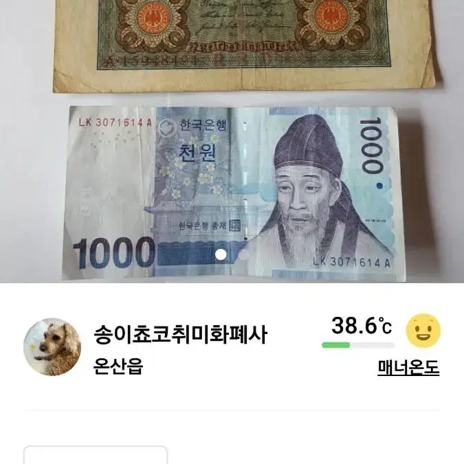 옛날 100년 된 독일지폐 1920년 오리지널 노트 100마르크 5장일괄