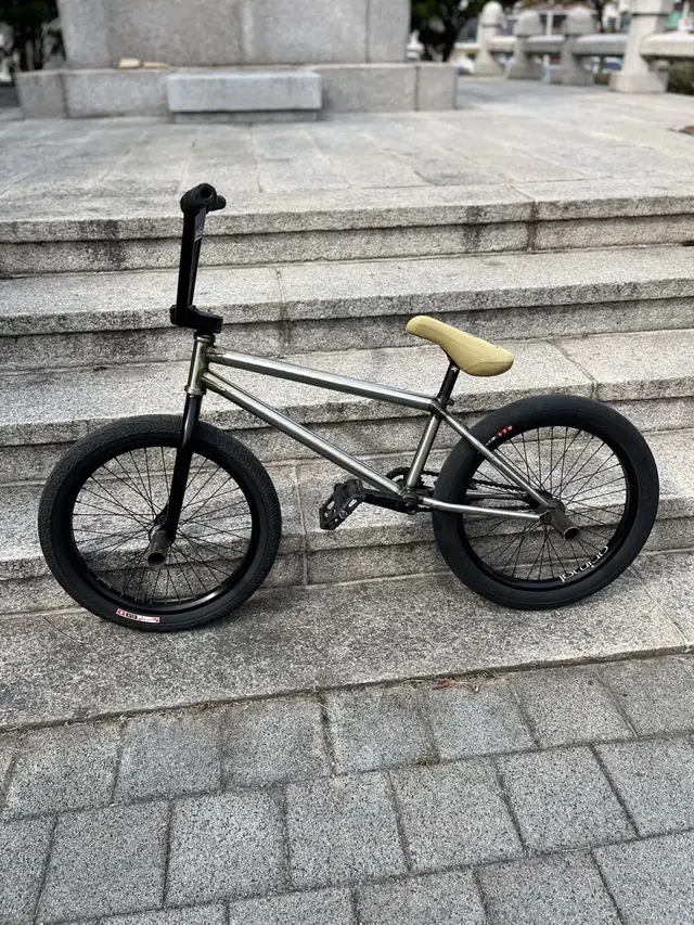 Bmx BSD ALVX v3 최상급 프레임 Raw, 블랙