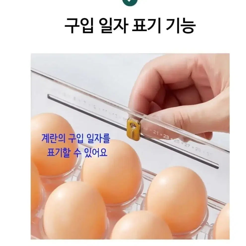 계란트레이