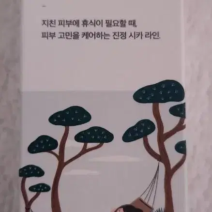 미개봉 라운드랩 소나무 시카 앰플 50ml