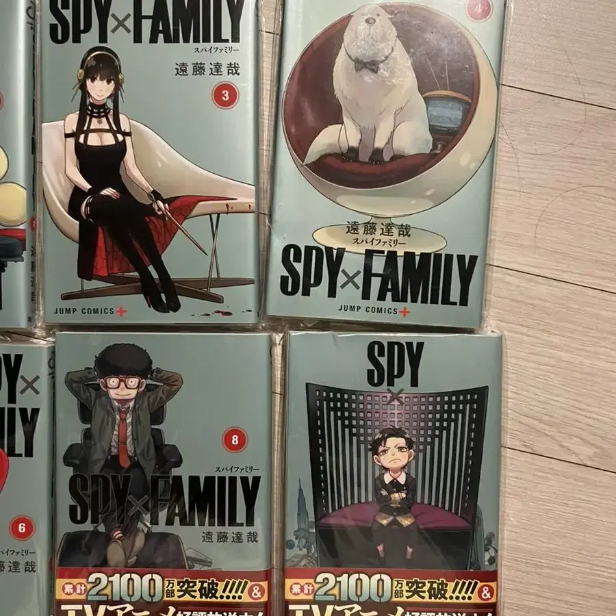 스파이패밀리 spy family만화책 원작 미개봉 1-8 최상상태