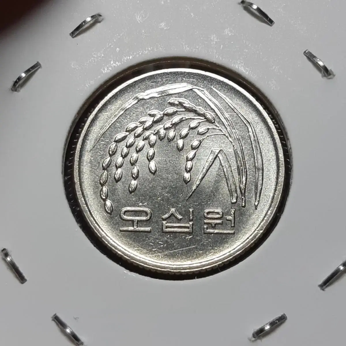 한국은행 준미사용 준특년 1998년 50원.주화 화폐 동전