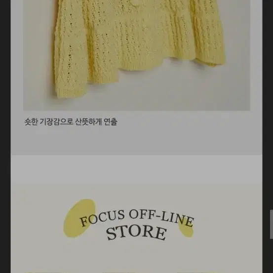 블루레이스 스카시니트 아이보리