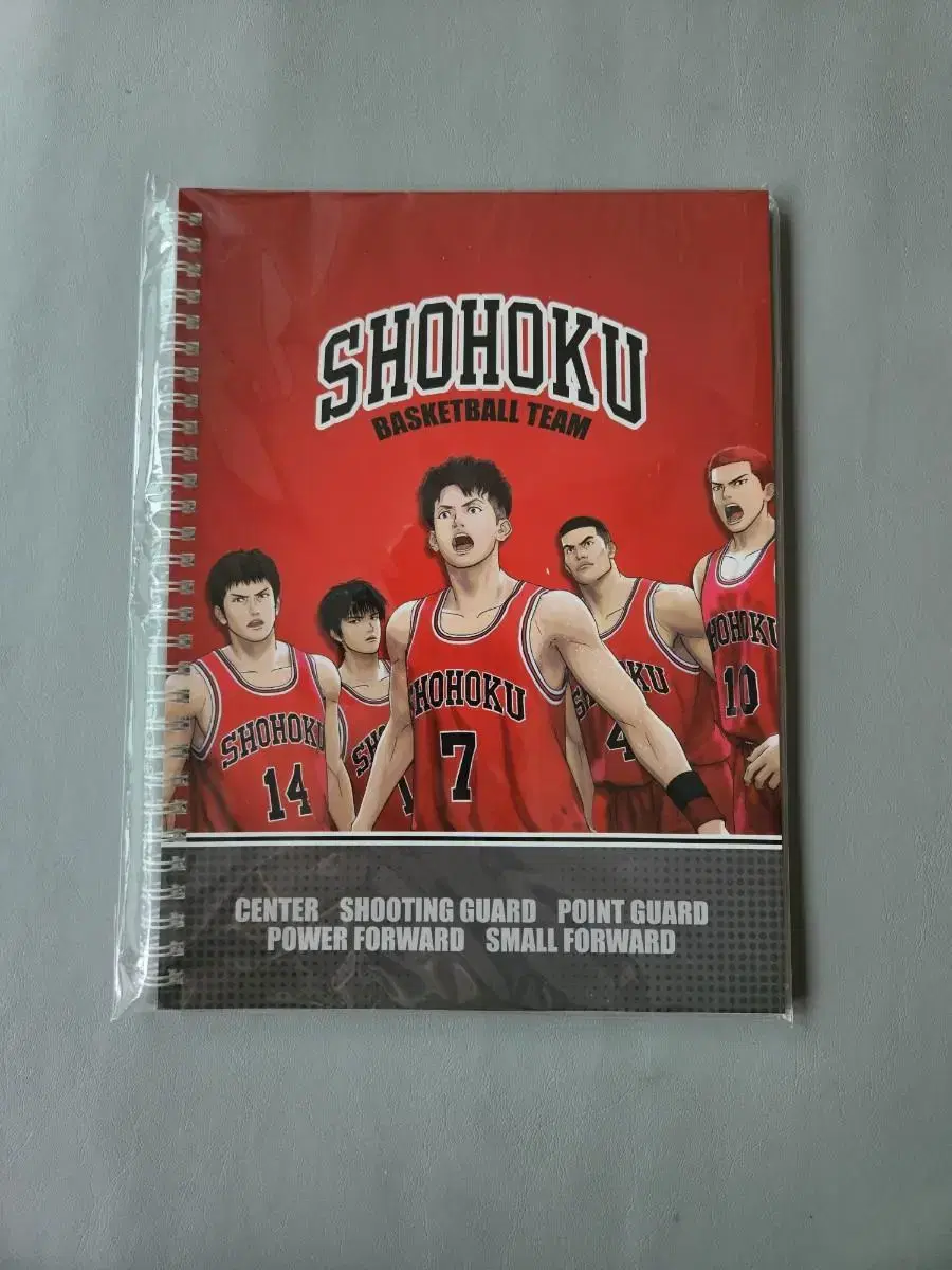 slam dunk spring note b5