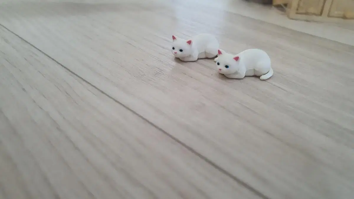 Miniature Cat Gacha