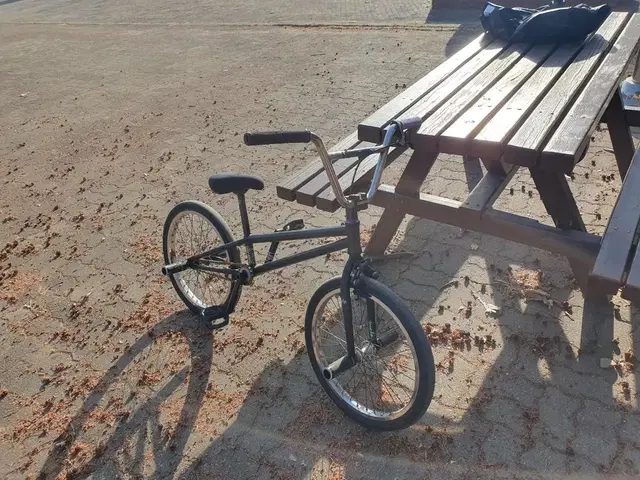 플랫랜드용 bmx 팔아요