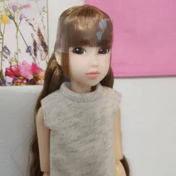 最安値に挑戦】 Today's momoko 2209 キャラクターグッズ - education