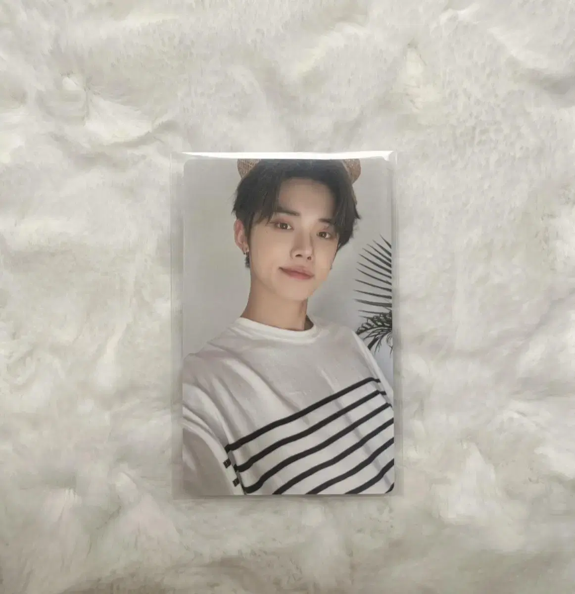 seasons greetings yeonjun home wts