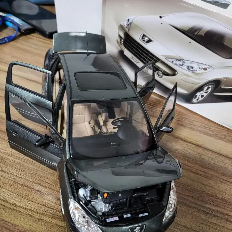 푸조 PEUGEOT 307 딜러팩 (PD201795GY) 1/18