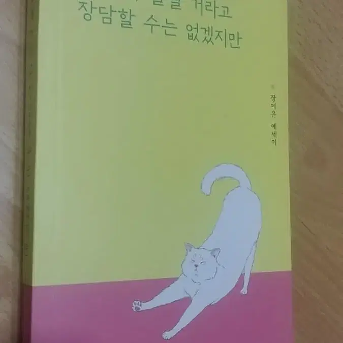 모두 다 잘 될거라고 장담할수는 없겠지만