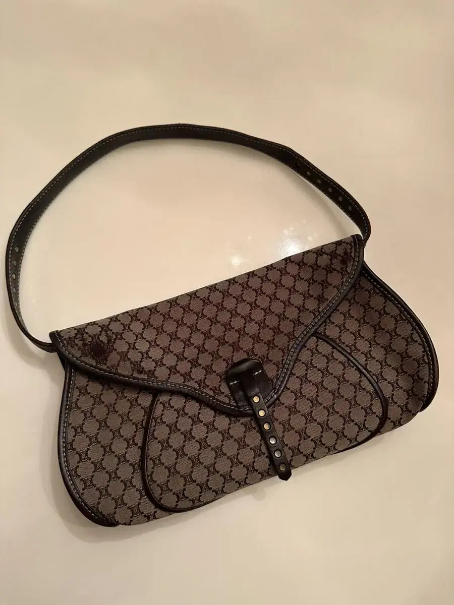 [Genuine] Seline Vintage Blazon Hobo Bag