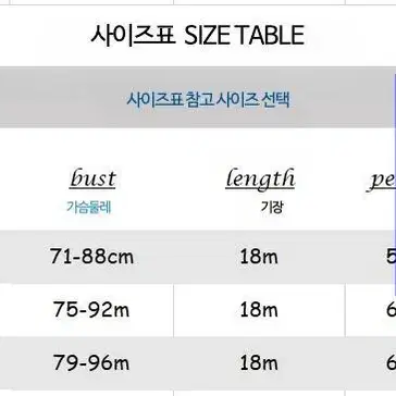 [17]빈티지 색감 버클 뷔스티에 탑