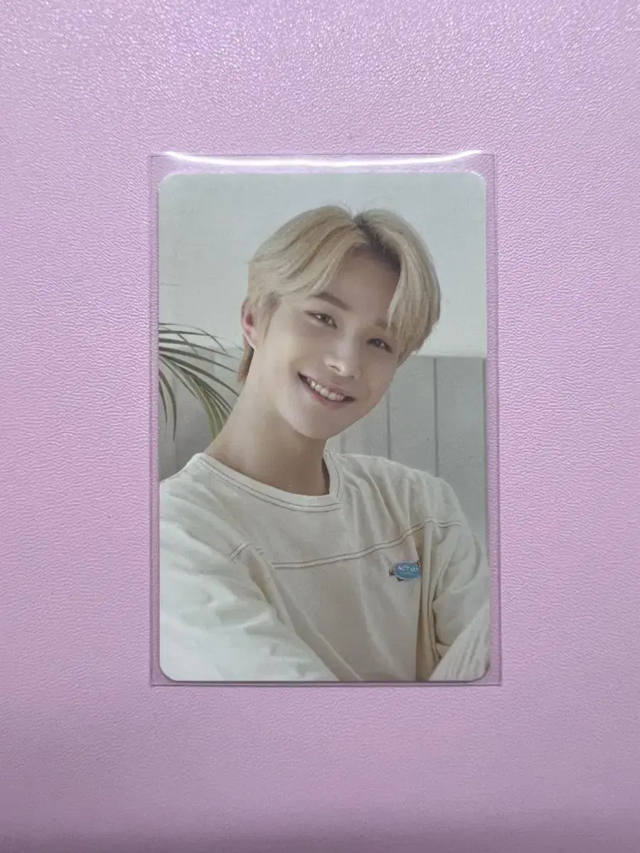 NCT 127 Summer Kit withdrama jungwoo pre-order benefit Photocard