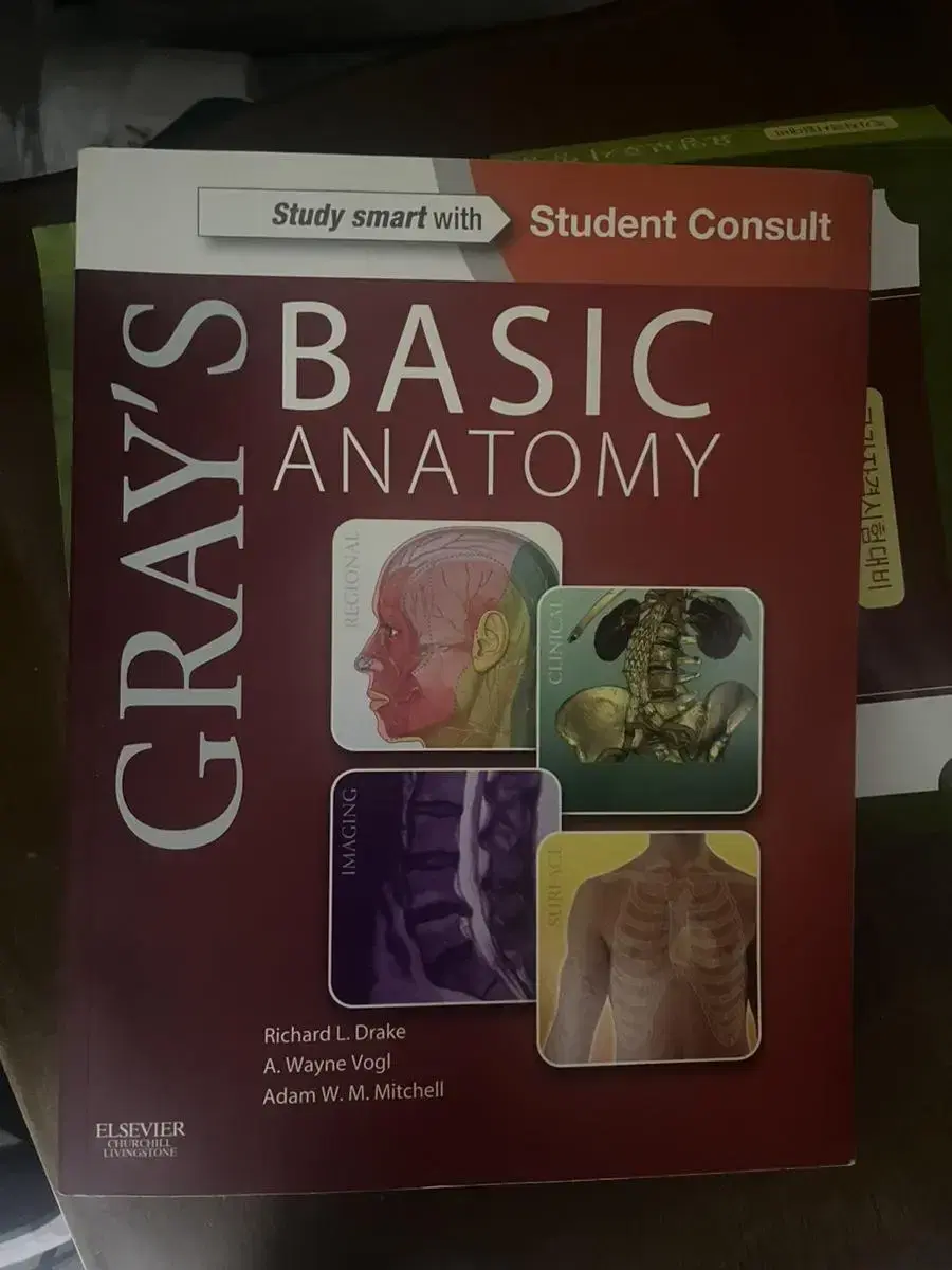 grays basic anatomy 그레이 베이직 아나토미