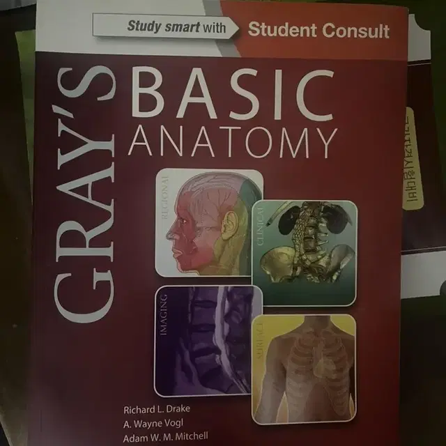 grays basic anatomy 그레이 베이직 아나토미