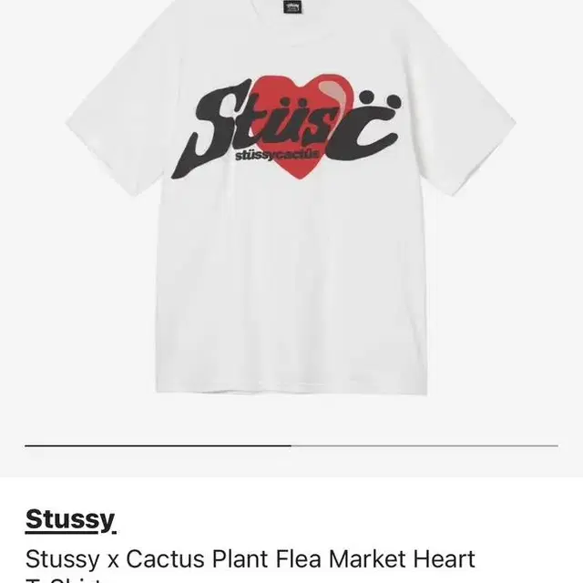 스투시 Stussy cactus Plant Heart T-shirt (M