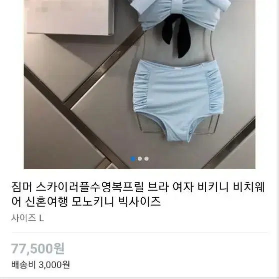 짐머비키니