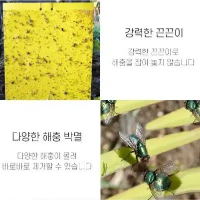 파리 해충 끈끈이 사각 트랩 방제 소 10매