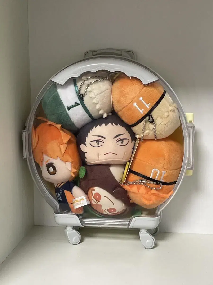 Haikyuu doll in bulk