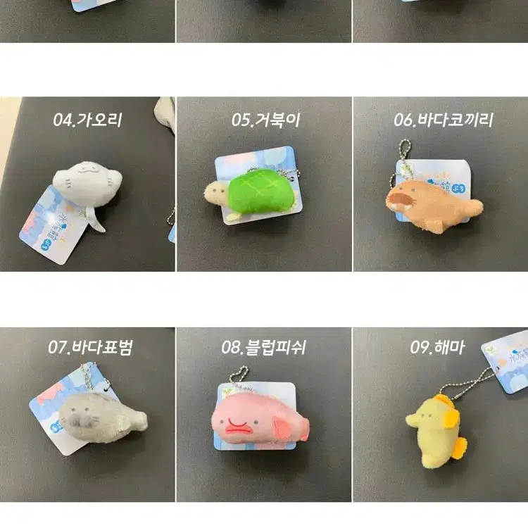 바다동물 납짝 인형키링 / 가오리 상어 볼체인 미니 인형 열쇠고리 가방