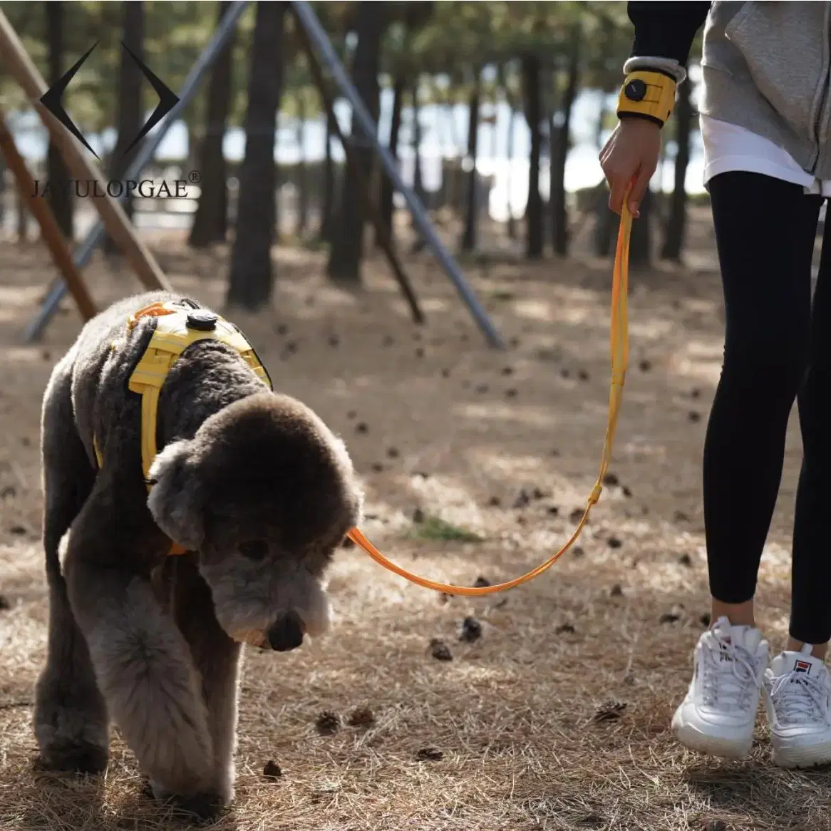 강아지 리드줄 산책줄