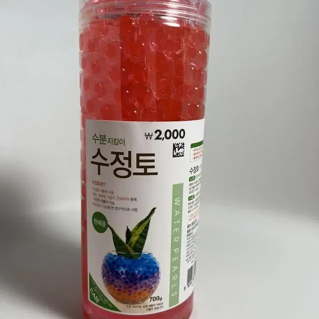 코랄핑크 수정토 700g 식물