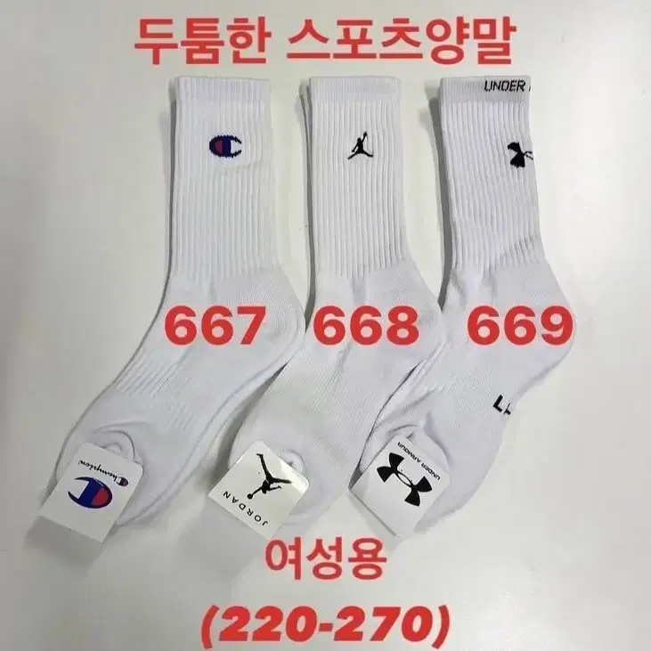 양말 순면  고품질 최저가 10켤레