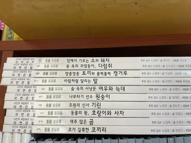 한국헤밍웨이 자연관찰 전집 80권