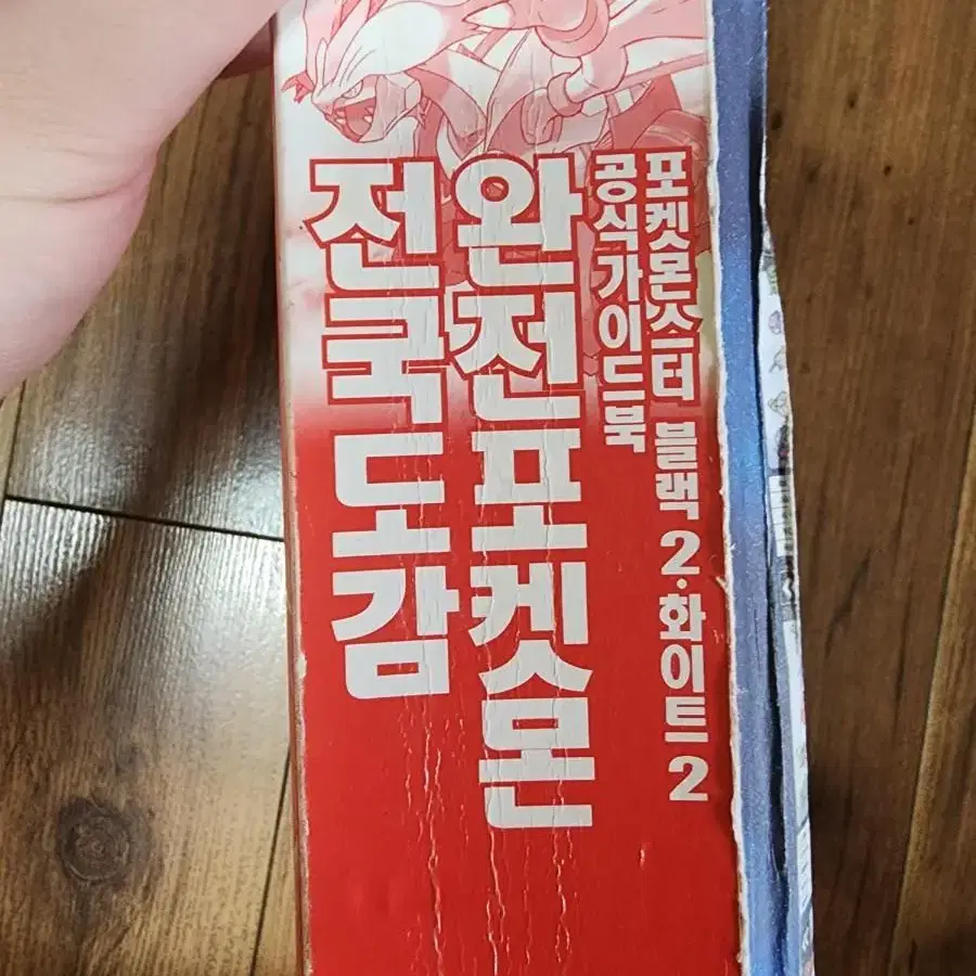 포켓몬 한정판 도감/포켓몬스터 한정판 도감 양도