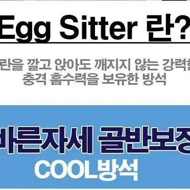 에그 시터 쿨방석