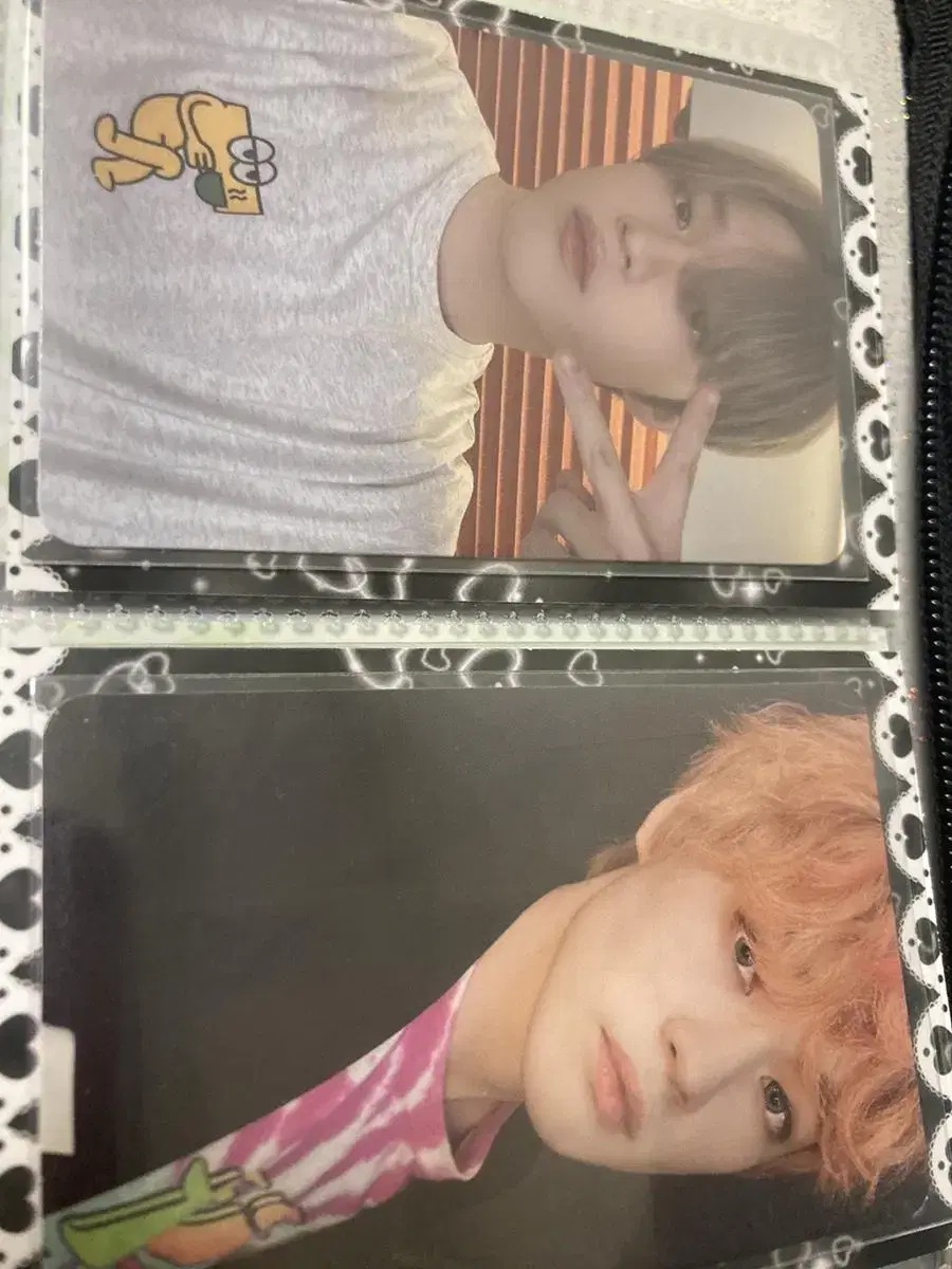 Cafe chenle Agent chenle bulk WTS