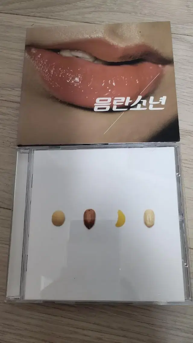 음란소년 음반