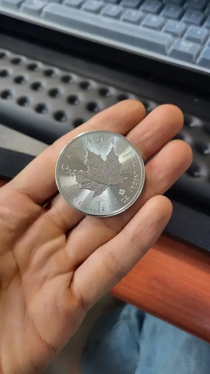 2020 캐나다 메이플 리프 실버코인 25ea | 브랜드 중고거래 플랫폼, 번개장터