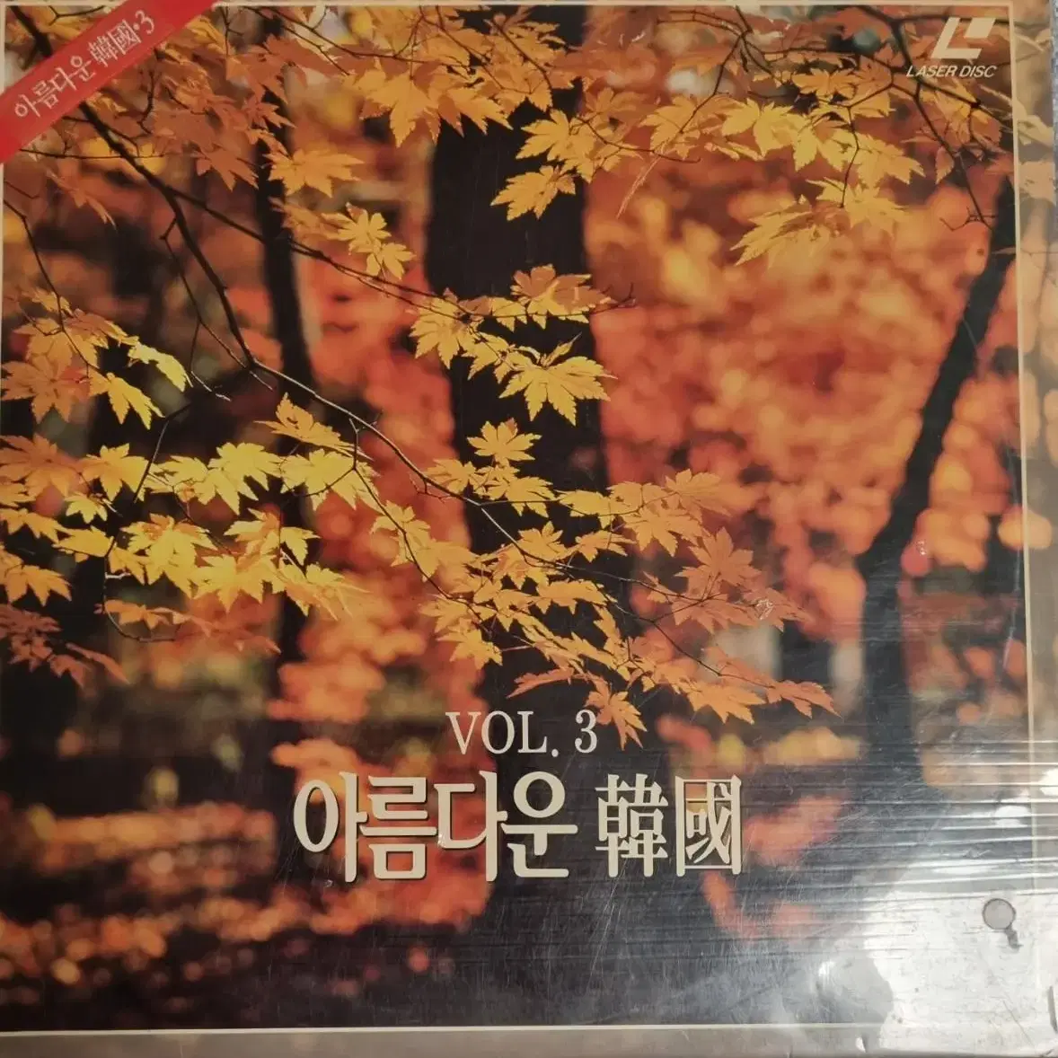 레이즈디스크