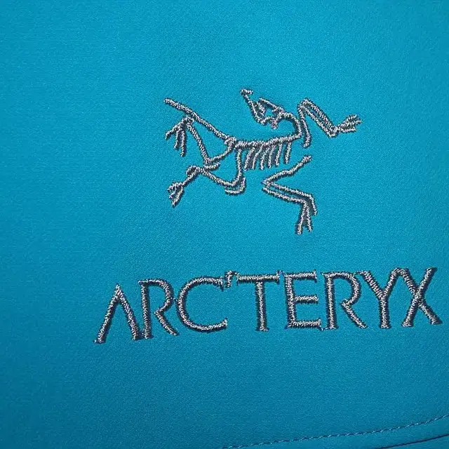 ACTERYX 아크테릭스감마후디 M