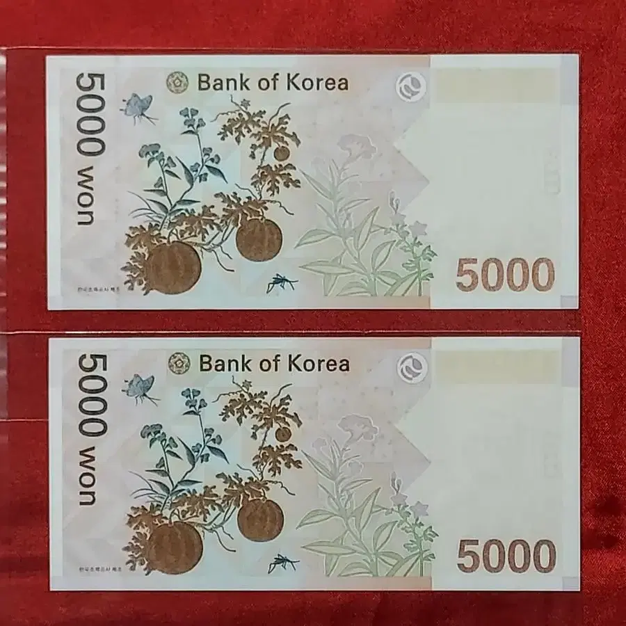 5000원 지폐 3봉레이더 3봉북앤드 미사용 보조권 다발해체 자매번호