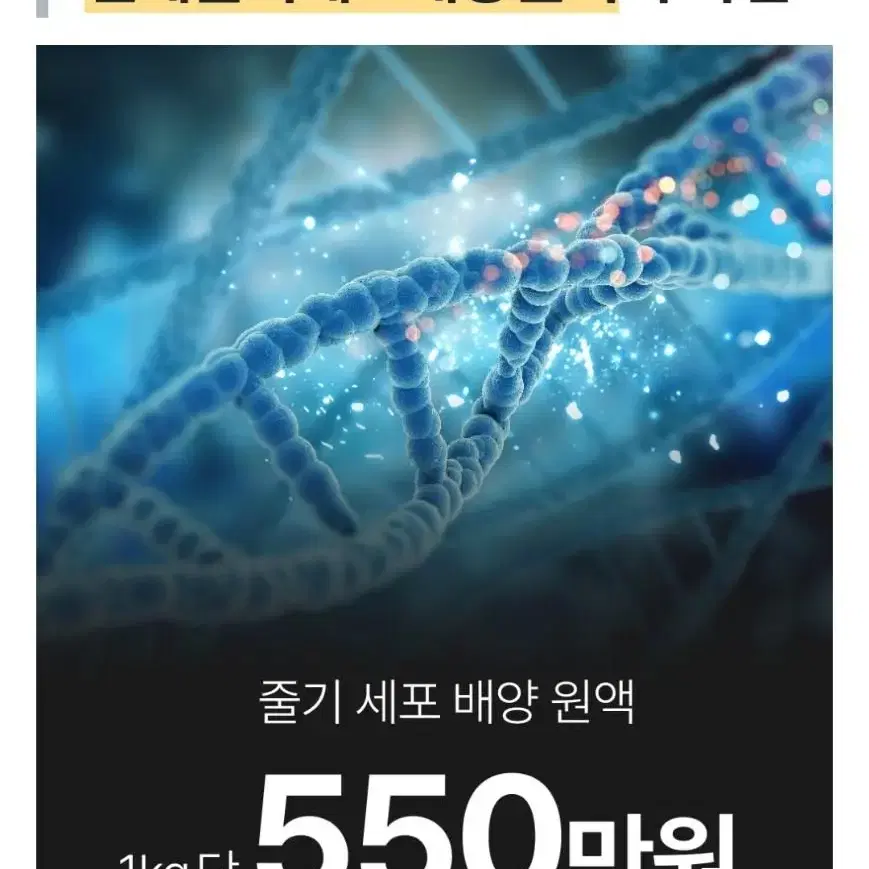 샤넬 리쥬란 피부과 시술 X 한번만 발라도 주름 모공 기미 탄력 앰플