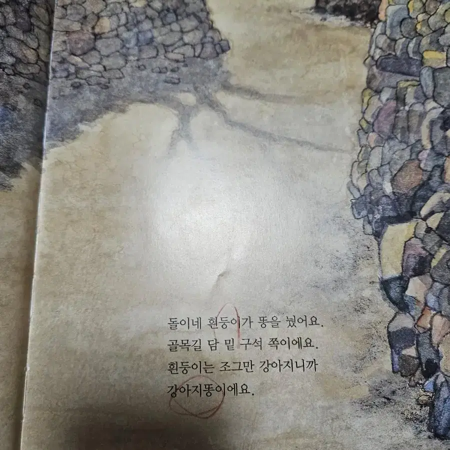 강아지똥 구름빵 꽃들에게희망을 과학소년 세계역사첫발