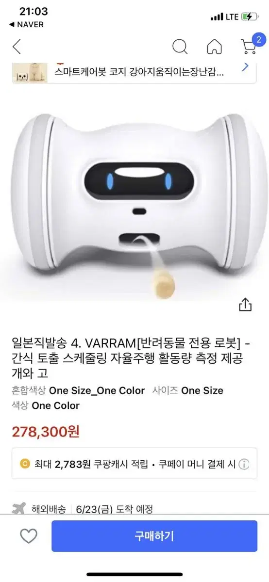 애견 장난감 사료급식