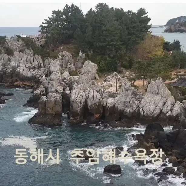 동해 일출 별장  한달살기