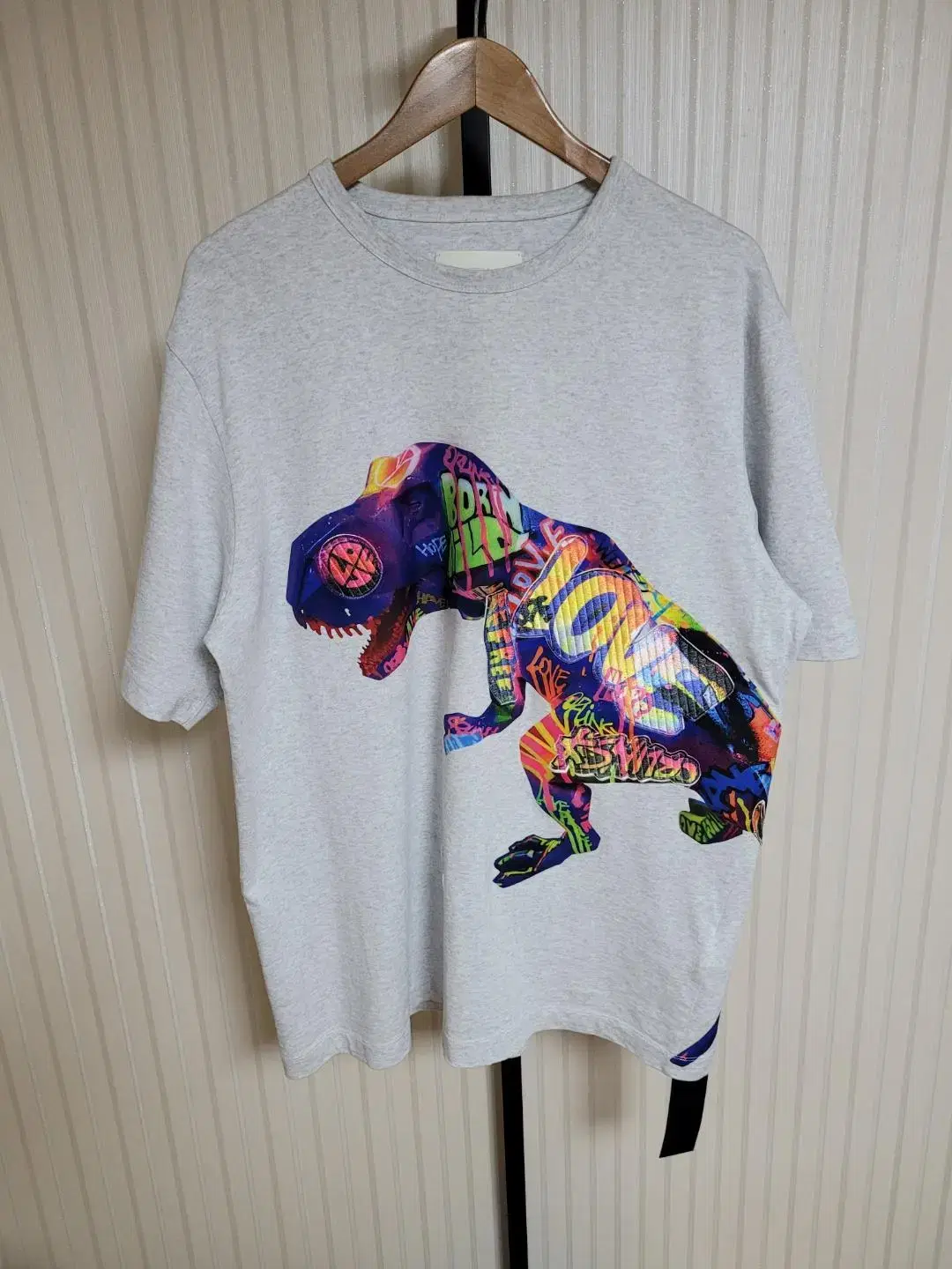 Junge Gray Dinosaur Short Sleeve T-Shirt 46 JC9442P232