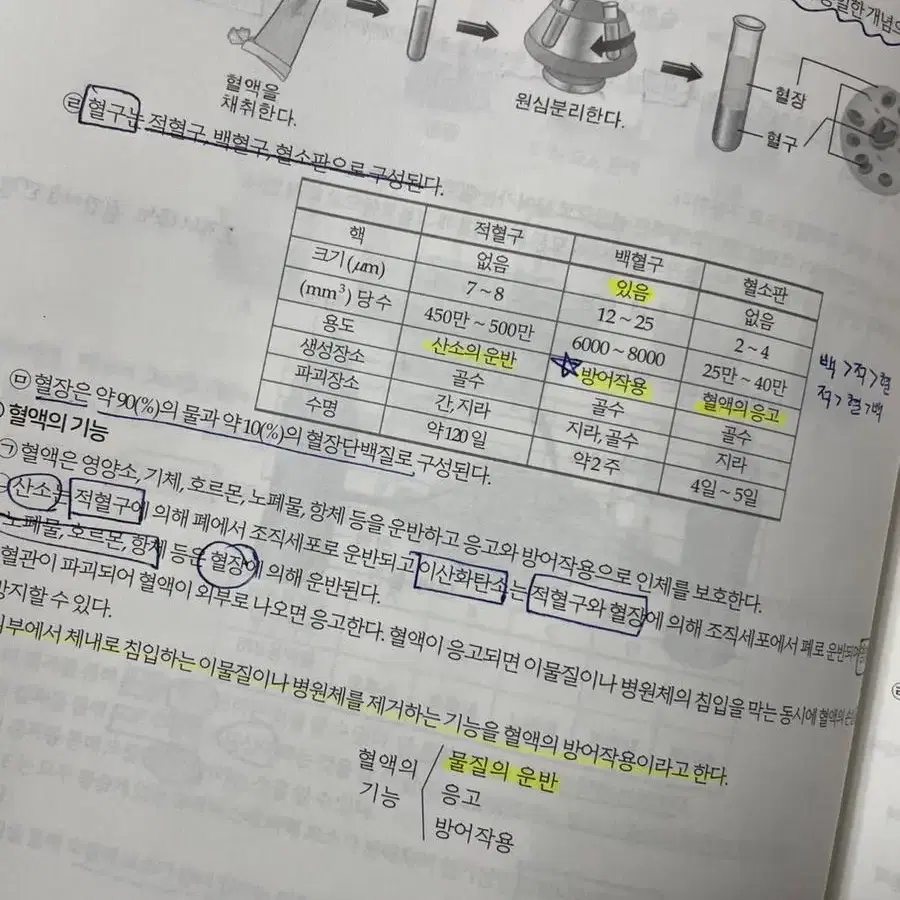 2022 윤도영 올어바웃 비유전 상하