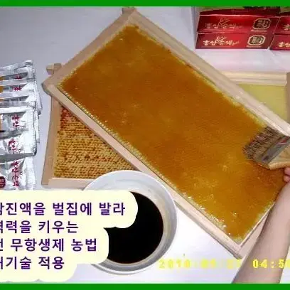 햇꿀 명품 밤헛개꿀 첫생산 기념 특별할인가 판매합니다