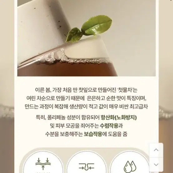 바이애콤 첫물녹차워터에센스