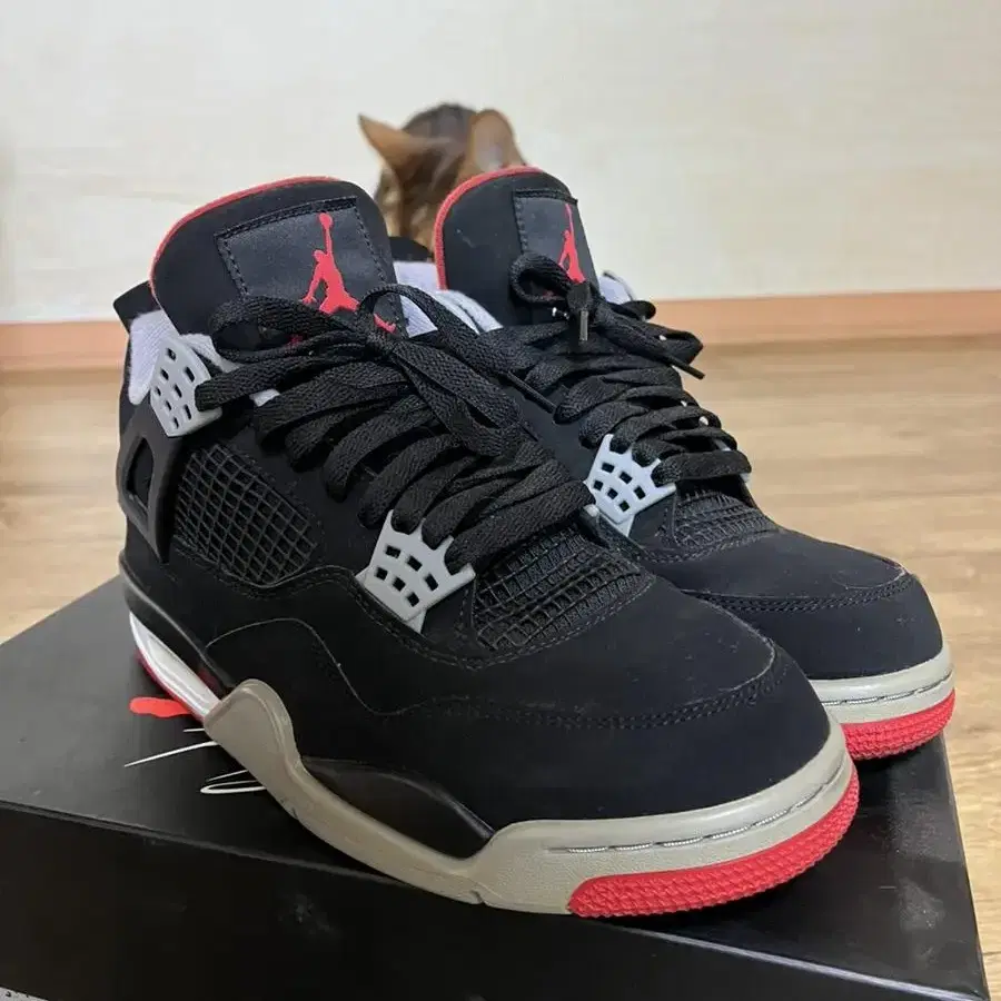 Jordan 4 retro bred 2019