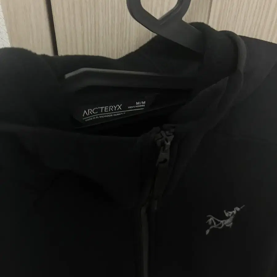 아크테릭스 Kyanite AR Hoody (Black)