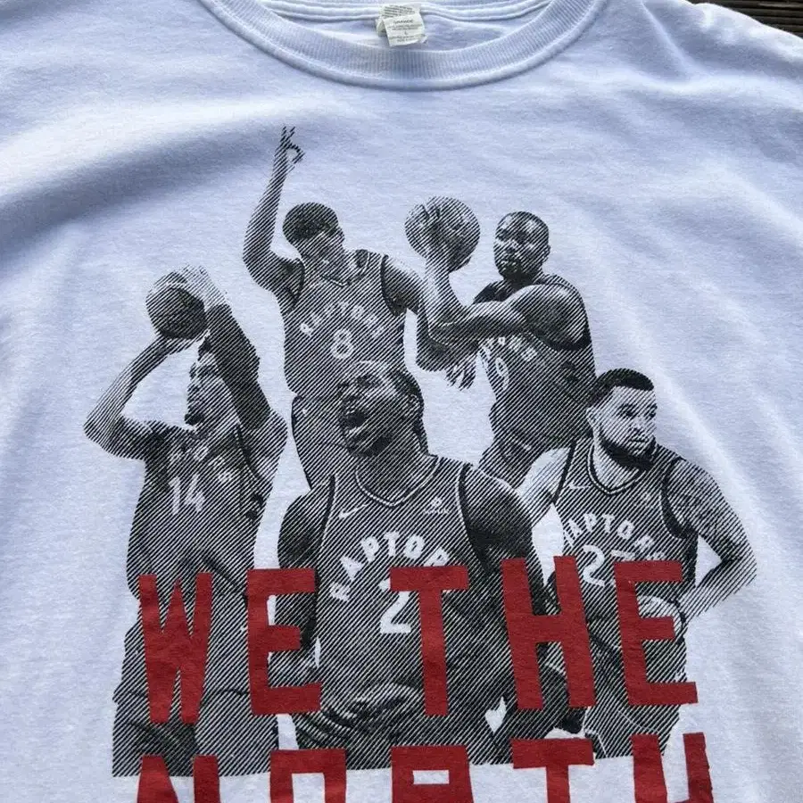 Toronto raptors we the north!