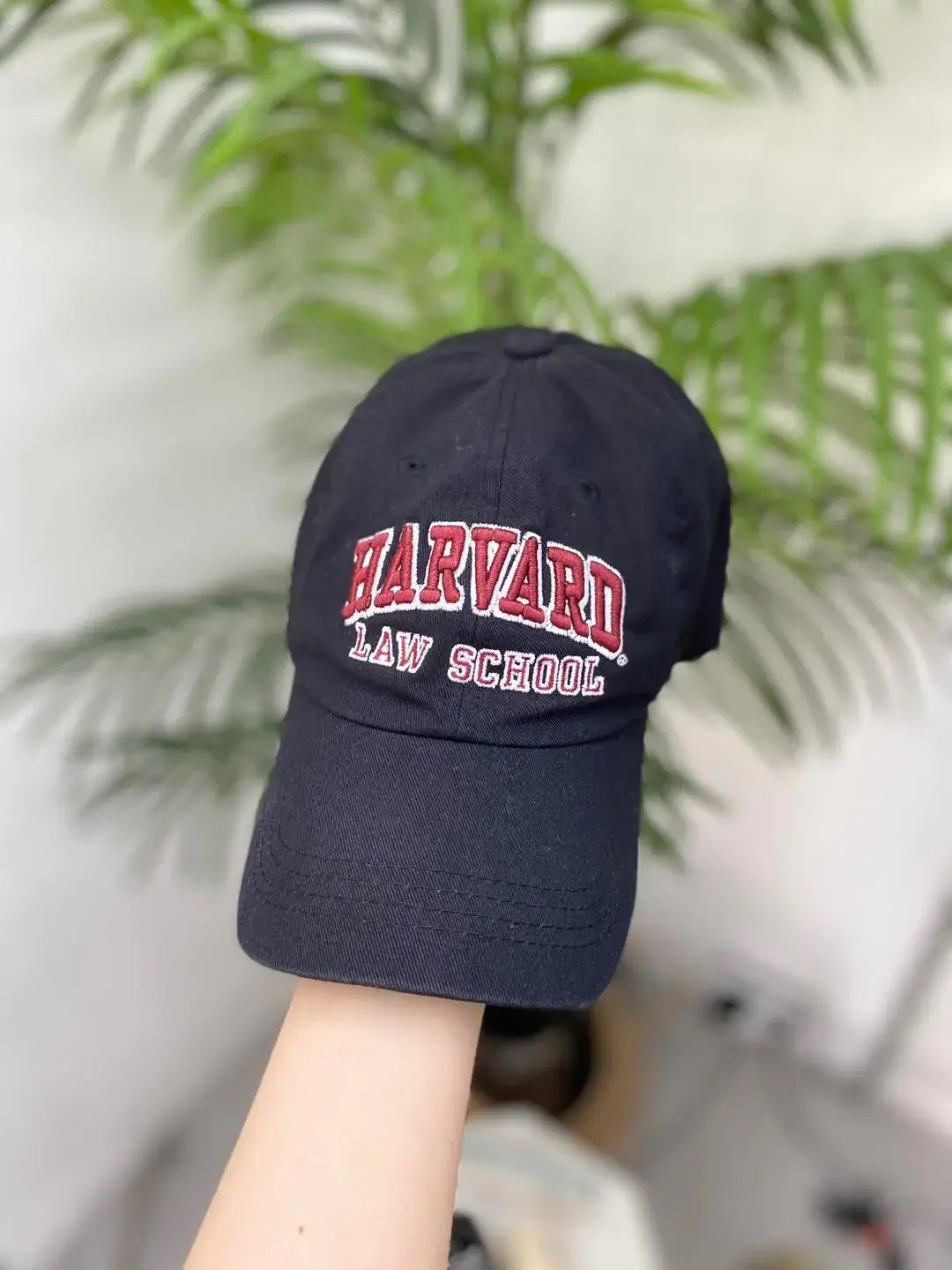 vtg harvard CAP a1661