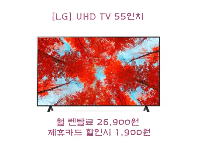 [렌탈/설치비무료]LG UHD TV 55인치